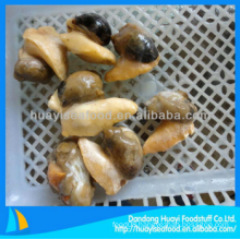 delicious frozen tasty better quality whelk meat fast delivery